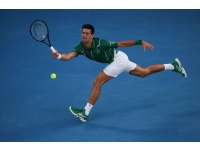 nole-1